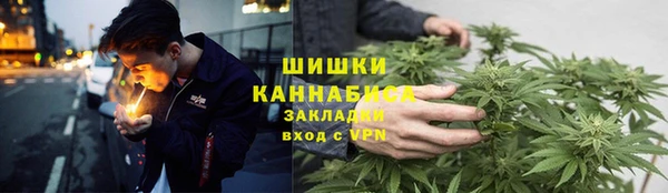 PSILOCYBIN Елизово
