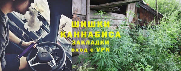 PSILOCYBIN Елизово