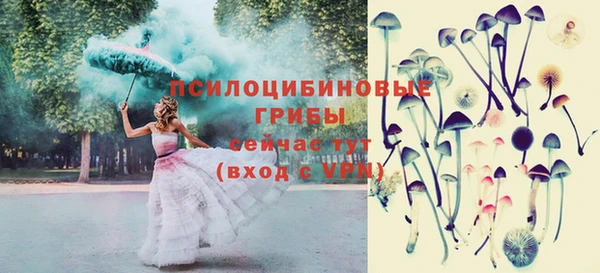 ПСИЛОЦИБИНОВЫЕ ГРИБЫ Елабуга