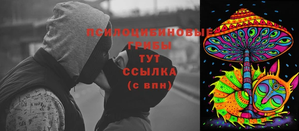 марки lsd Ельня