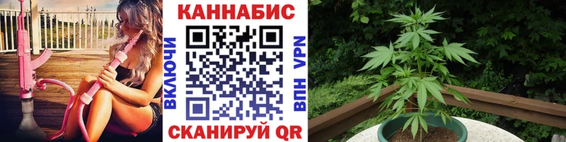 МАРИХУАНА ГИДРОПОН  Купить где  Гай 